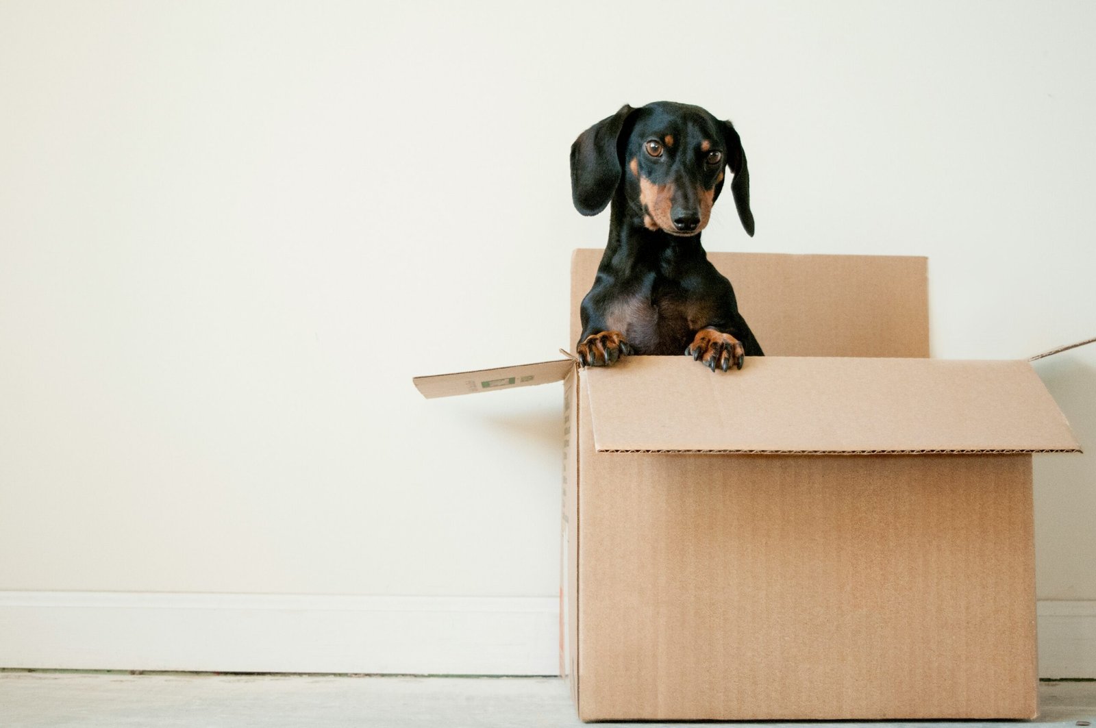 Friendly moving consultation